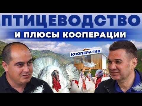 Видео: Прибыльные индюки из Кабардино-Балкарии | Чем кормить и как разводить птицу? Андрей Даниленко