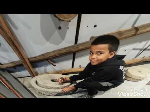 Видео: От праисторията до днес — урок извън класната стая