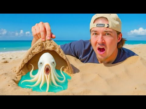 Видео: Я Нашел Инопланетных Морских Существ, Живущих В Песке...