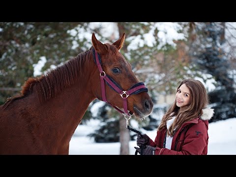 Видео: КАК Я КУПИЛА ЛОШАДЬ 🐴ЧАСТЬ I 🐴 / наша история