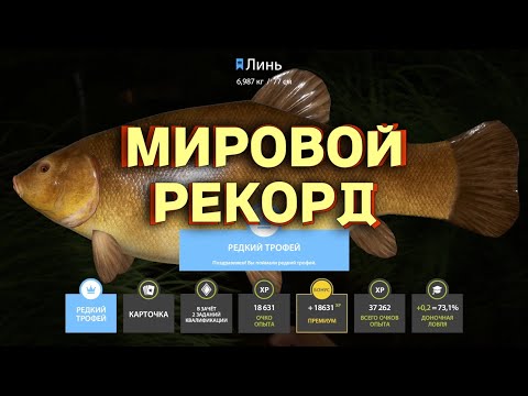 Видео: Русская Рыбалка 4 - Мировой рекорд Линь