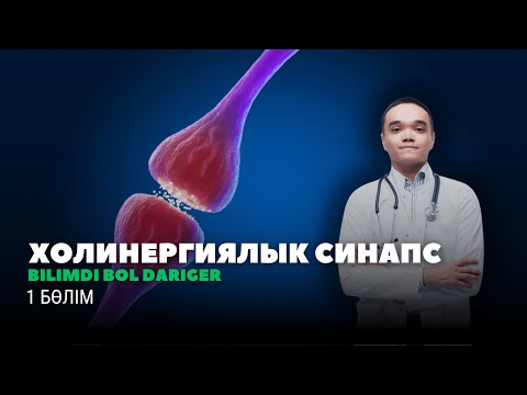 Видео: ХОЛИНЕРГИЯЛЫҚ СИНАПС ЖӘНЕ ОНЫҢ РЕЦЕПТОРЛАРЫ