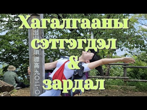 Видео: Хагалгааны дараах сэтгэгдэл ба зардал