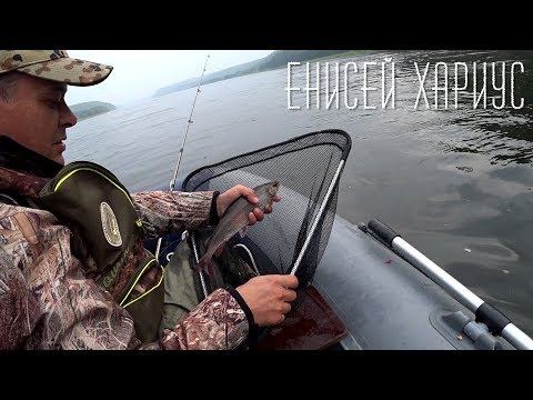 Видео: Енисей.  Хариус.  Рыбалка на выходных. Луговское 🚤 🎣
