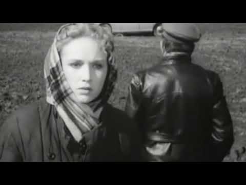 Видео: Душевная песня «Кудрявая рябина»