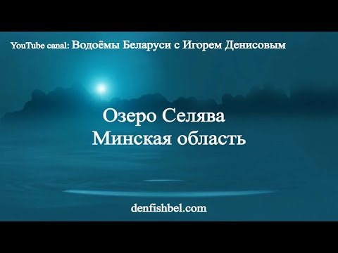 Видео: Озеро Селява. Минская область