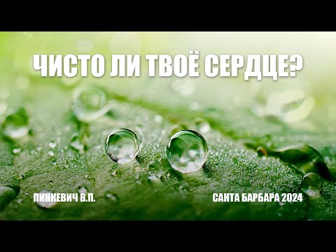 Видео: Чисто ли Твоё сердце || Пинкевич В.П.