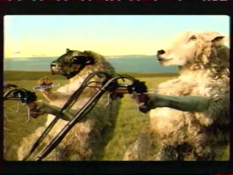 Видео: Анонс и реклама (СТС, 10.10.2004). 4
