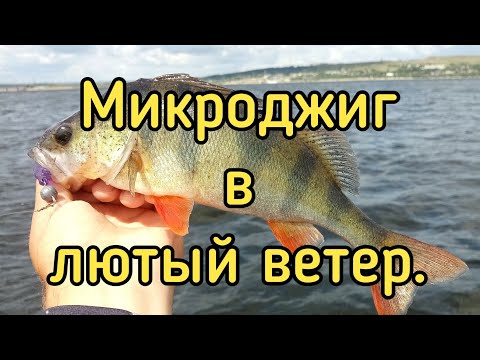 Видео: Микроджиг в лютый ветер. Окунь раздаёт. Dayo Magestic 198 0.5-5 гр. / Black Adder Nano 168 0.5-1 гр.