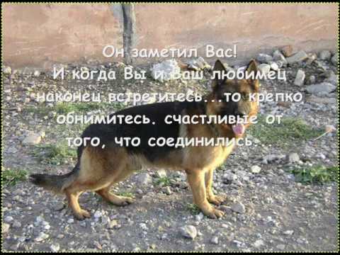 Видео: Мост радуги.wmv