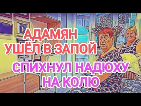 Видео: Самвел Адамян УШЁЛ В ЗАПОЙ / СВАЛИЛ НАДЮХУ НА КОЛЮ
