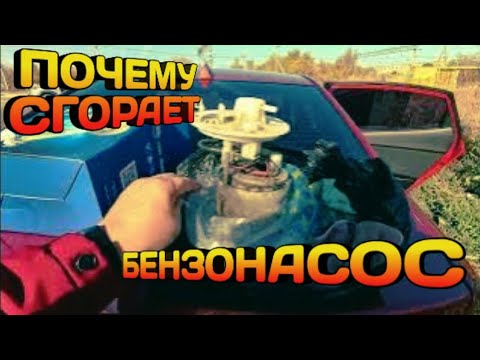 Видео: 27 октября 2025 г. Почему сгорает  бензонасос на Киа Рио3