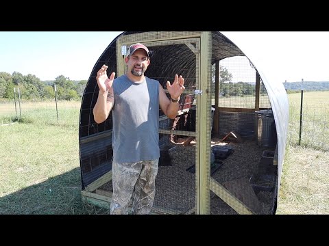 Видео: Разведение перепелов на открытом воздухе. Счастливые птицы — счастливые хозяева!