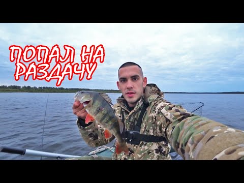 Видео: Ловля Окуня и Щуки Осенью на Вертушку! Попал на Раздачу | Водохранилище Левки
