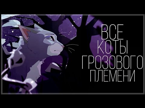 Видео: Коты Воители - ВСЕ коты Грозового племени [2 ЧАСТЬ]