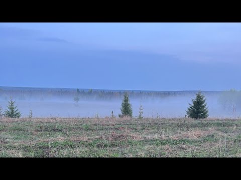 Видео: Охота на боровую дичь в Удмуртии