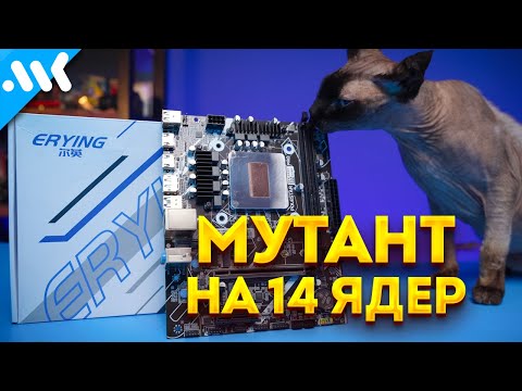 Видео: Мутант на 12700H | Замена Xeon?