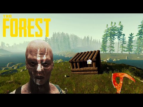 Видео: АСМР ВЫЖИВАНИЕ В ЛЕСУ - The Forest