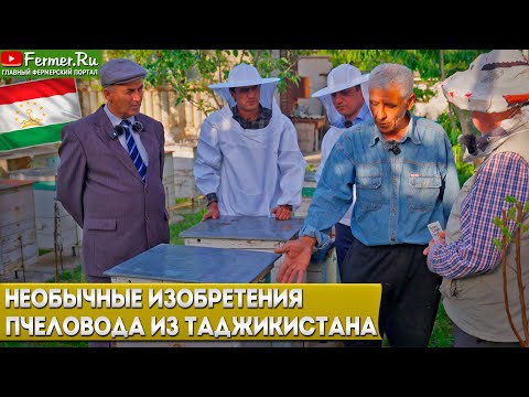 Видео: Таджикские ульи и пчёлы: как устроено пчеловодство Таджикистана. Пчеловождение в жарком климате