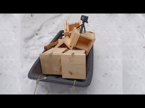 Видео: Птицы в Шоке! Установка кормушек на таёжной тропе. День 1