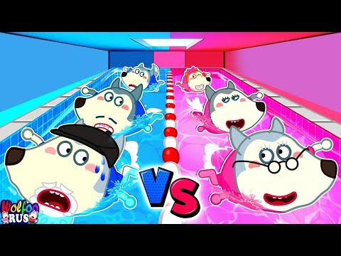 Видео: Гонки на воде Pink против Blue — Кто победит? Семейное шоу Wolfoo на русском