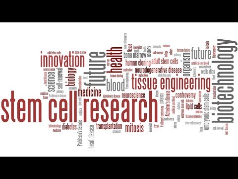 Видео: 4.2. Клеточная терапия и регенеративная медицина: клиническая разработка и фармаконадзор