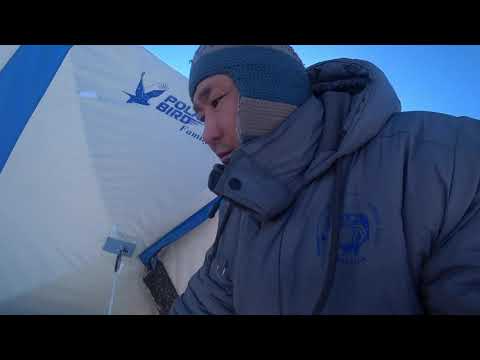 Видео: Что стало с зимней палаткой при -50 С в Якутии