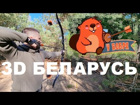 Видео: 3D стрельба из лука Беларусь