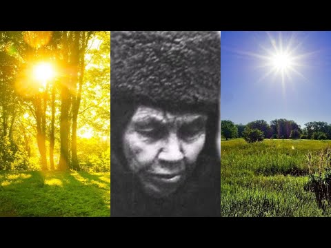 Видео: ТВОЯ МАМА НЕ УМЕРЛА,ОНА ВОТ РЯДОМ С НАМИ СТОИТ..БЛАЖЕННАЯ АЛИПИЯ КИЕВСКАЯ ч.19