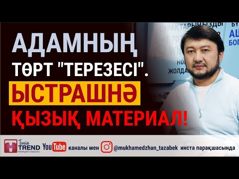 Видео: Адамның төрт "терезесі". Ыстрашнә қызық материал!