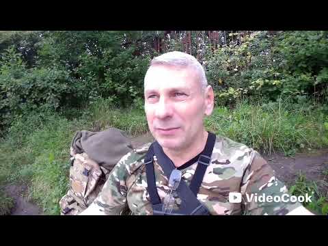 Видео: Августовская рыбалка на пруду.И не большие подлещики! 