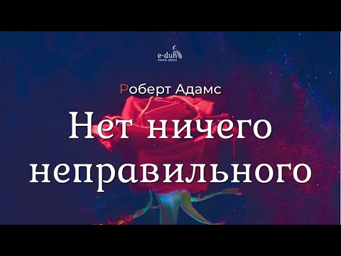 Видео: Роберт Адамс - Нет ничего неправильного [Nikosho]