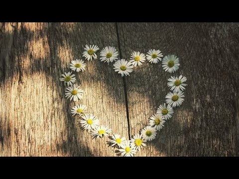 Видео: ПИРАМИДА ЗДОРОВЬЯ - тактика и стратегия - часть 1 \ Умный Атлетизм - научный и духовный подход