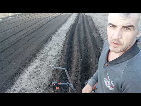 Видео: 16 апреля 2022 г.