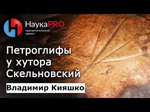 Видео: Петроглифы у хутора Скельновский – археолог Владимир Кияшко | Донской край | Научпоп