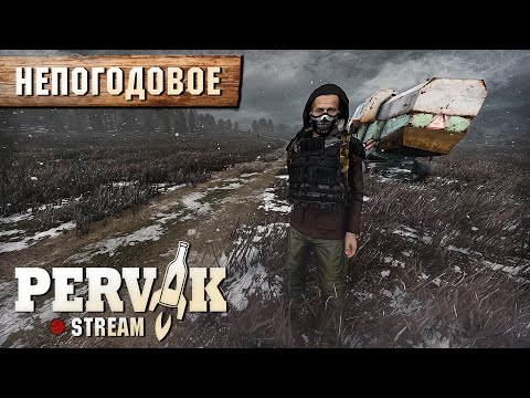 Видео: DayZ 1.26 | PERVAK | НЕПОГОДОВОЕ