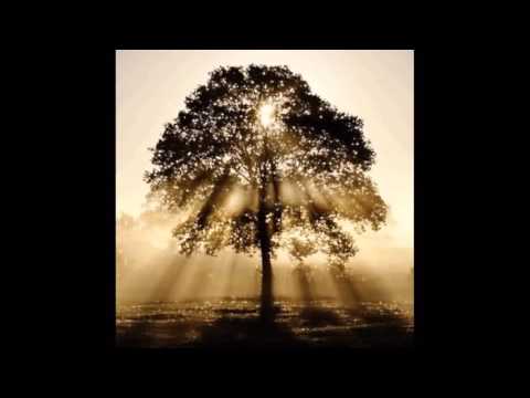 Видео: Падмасамбхава _ Направив посох на старика.