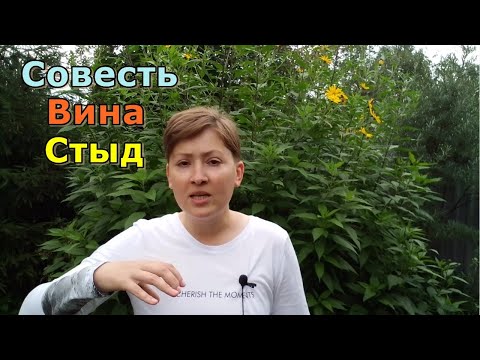 Видео: Совесть, вина и стыд. Психоанализ Сверх-Я