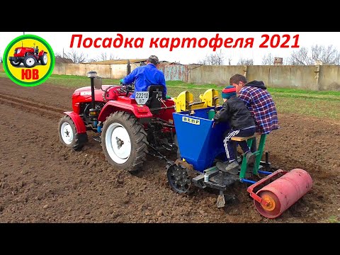 Видео: Посадка картофеля -2021