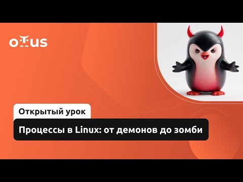 Видео: Процессы в Linux: от демонов до зомби // Демо-занятие курса «Administrator Linux. Professional»