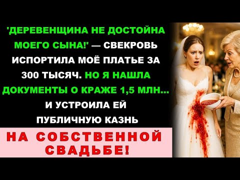 Видео: Свекровь Облила Меня Борщом На Свадьбе В Сочи — Через 20 Минут Вся «Родина» Узнала, Что Она Воровка