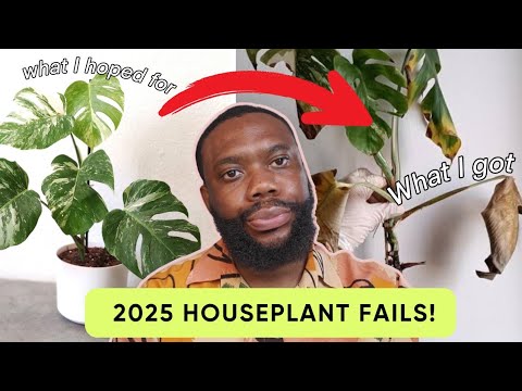 Видео: Учитесь на моих ошибках! Самые неудачные комнатные растения, которые я выращивал в 2025 году!