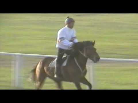 Видео: Ат сүүрдүүтэ. Ытык Күөл 2003