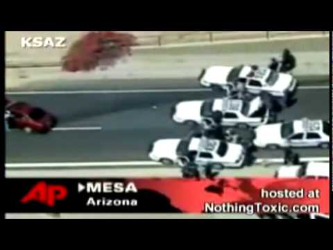 Видео: Бельгийская овчарка, Малинуа, (Malinois compilation) 比利时牧羊犬