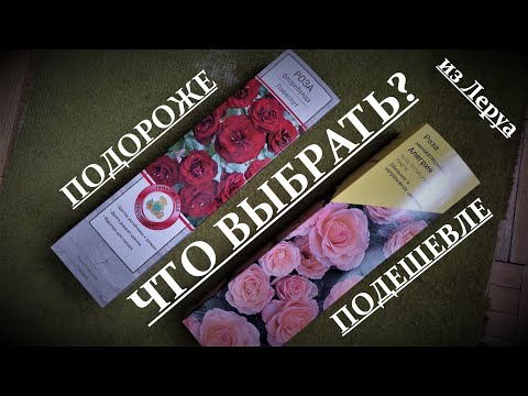 Видео: 🌹 Розы в коробках из Леруа Мерлен. Распаковка и сравнение качества саженцев.
