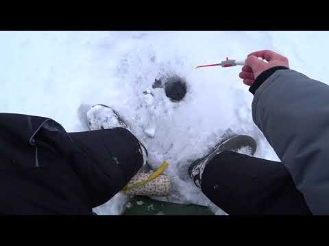 Видео: о.Инголь метель!Как всё хорошо начиналось 16 -17 фев 2021