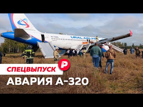 Видео: Аварийная посадка А-320 под Новосибирском — разбор Алексея Пивоварова