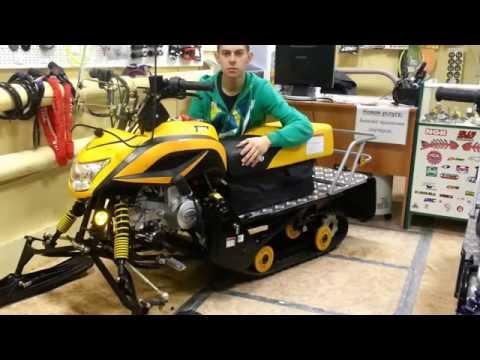 Видео: Обзор cнегохода Irbis Dingo T125 + разборка