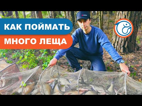 Видео: Как поймать много леща .Ловля на фидер. Чигиринское водохранилище.