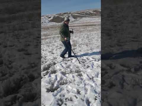 Видео: gold 20190127 алтын іздеу